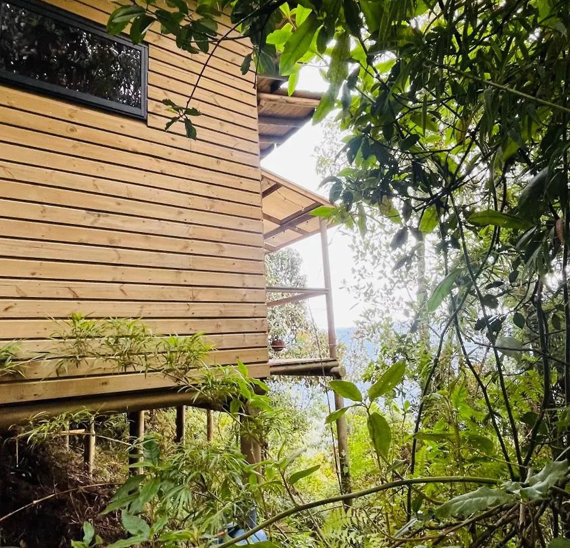 Monte Santa Elena Villa Medellin Colombia